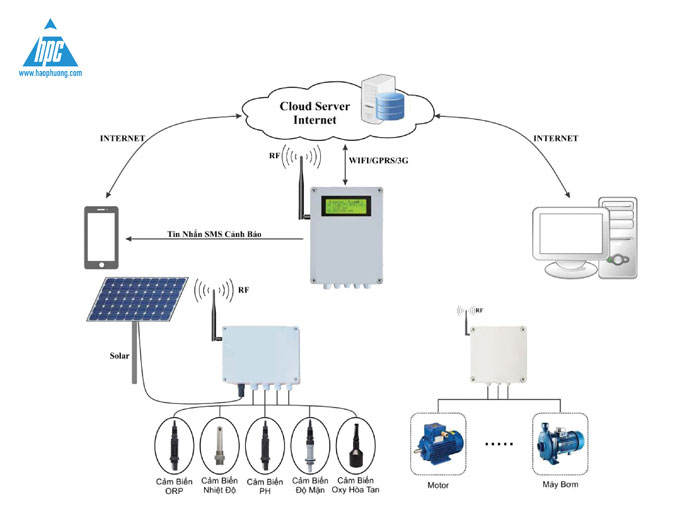 Giải pháp IoT và điện năng lượng mặt trời trong ngành nuôi trồng thủy sản