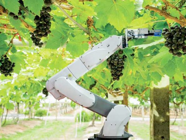 HAO PHUONG CORP