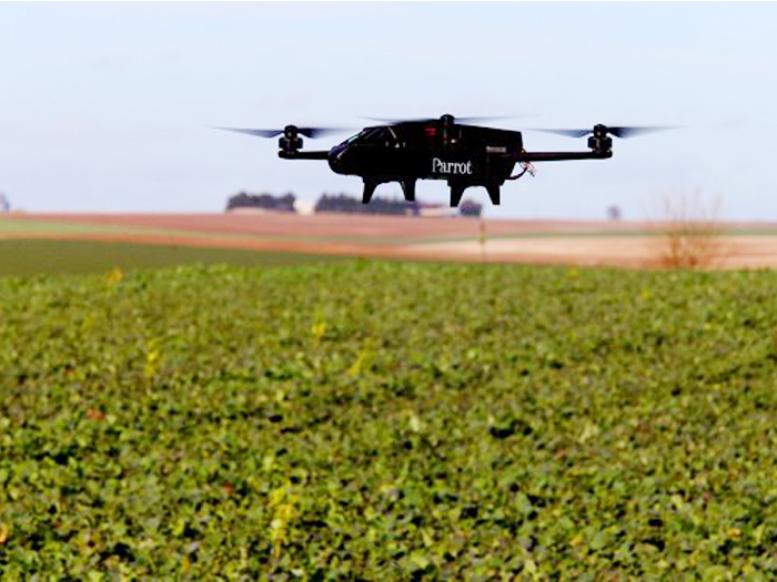 Năm 2026 dự kiến thị trường sản phẩm AI trong nông nghiệp sẽ tăng lên 4 tỷ USD