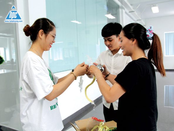 HAO PHUONG CORP