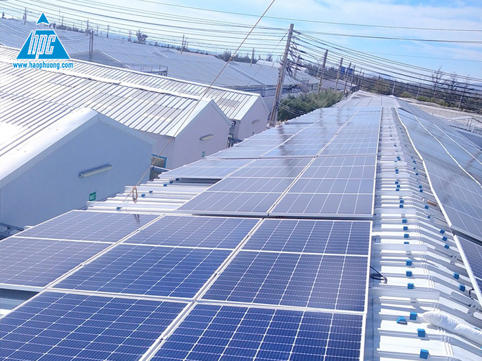 Hạo Phương đảm bảo tiến độ thực hiện dự án điện mặt trời tại trại tôm giống tại Ninh Thuận