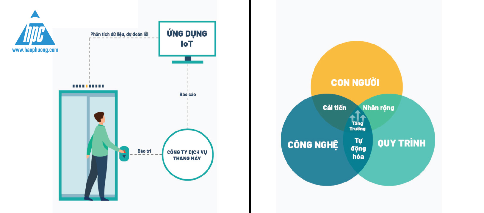 Số hóa đã thay đổi vai trò và tầm quan trọng của các dịch vụ trong ngành thang máy như thế nào?