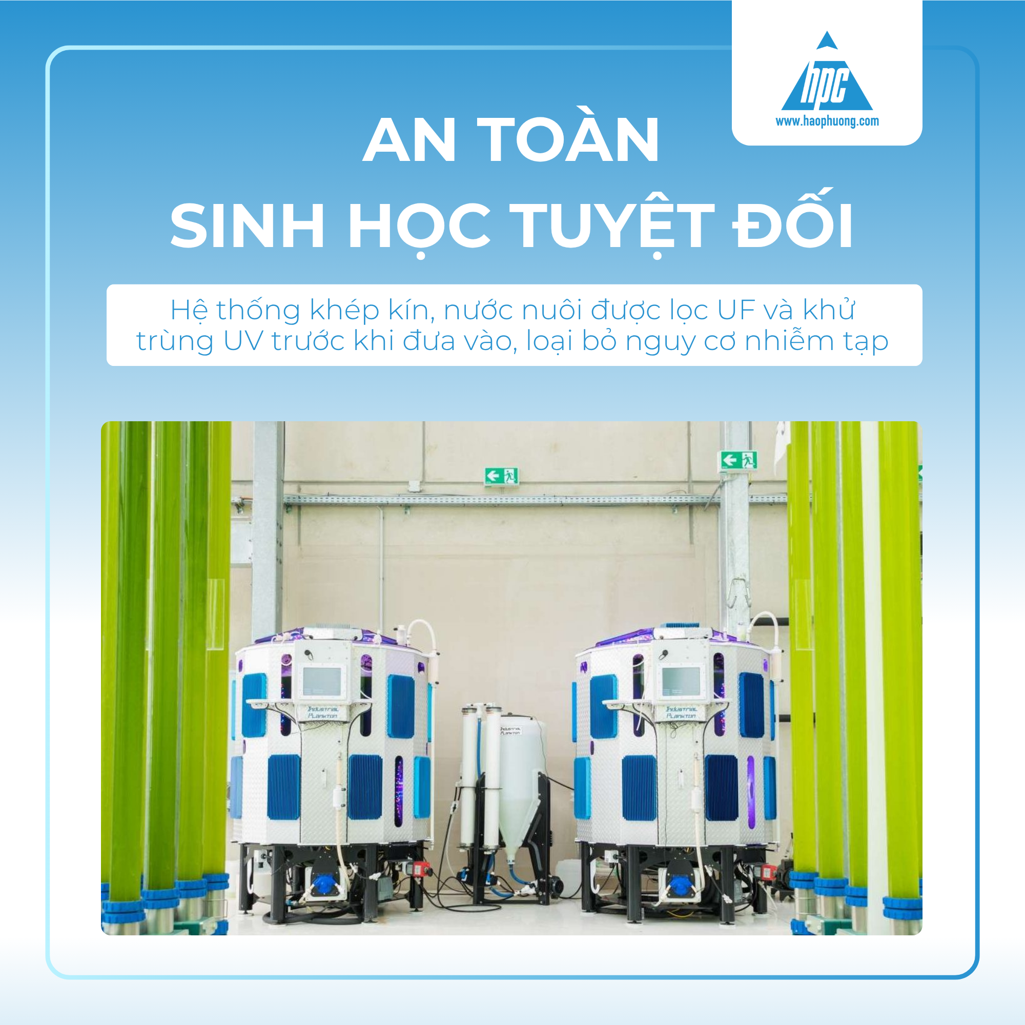 HỆ THỐNG NUÔI TẢO TỰ ĐỘNG PBR – TỐI ƯU CHO GIỐNG KHỎE MẠNH