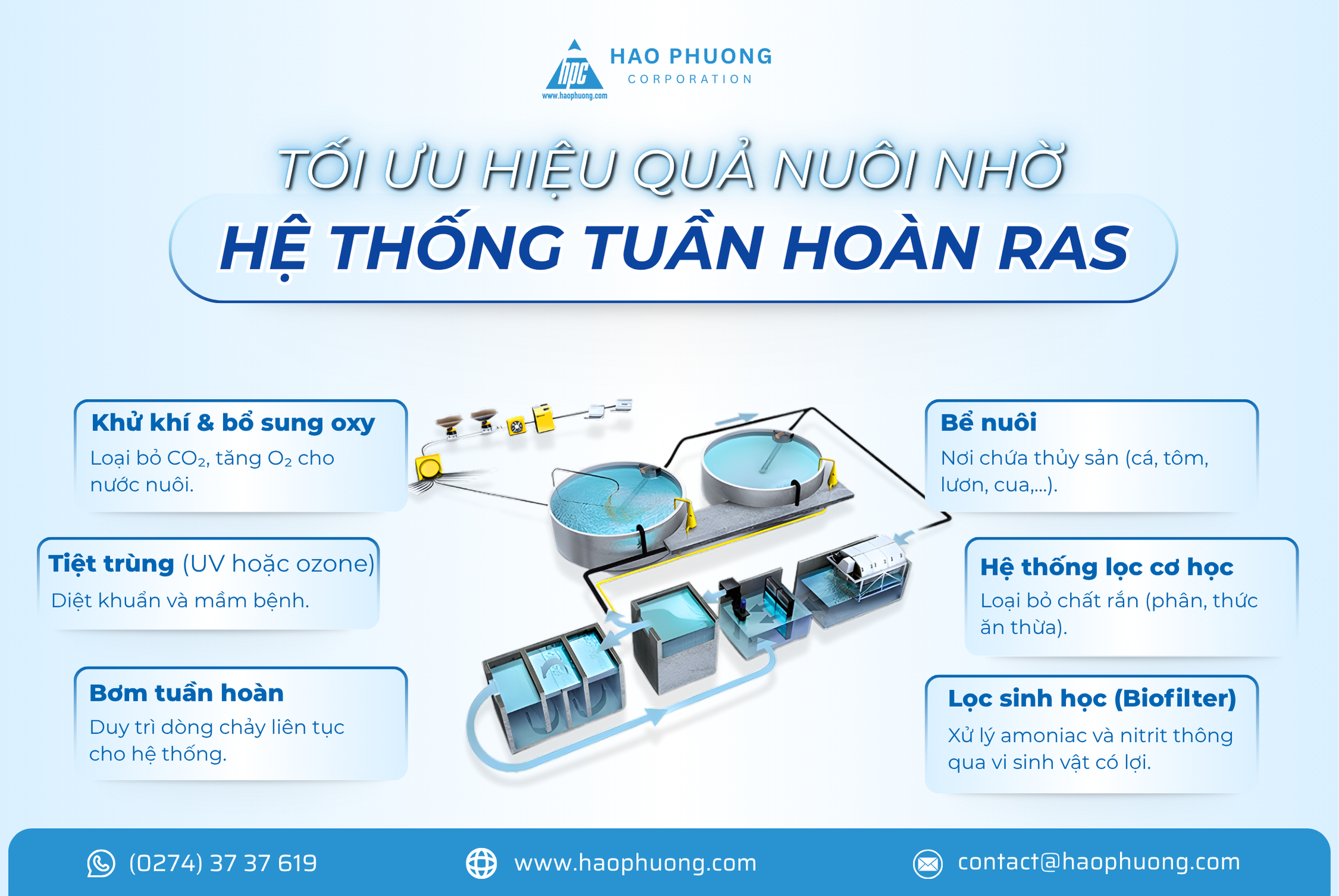 TỐI ƯU HIỆU QUẢ NUÔI NHỜ HỆ THỐNG TUẦN HOÀN RAS